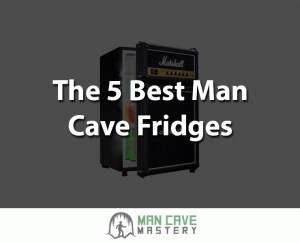 5 best man cave fridges